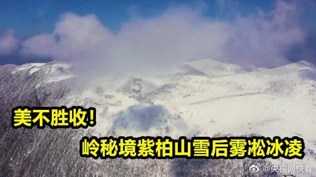执行力太差了怎么办?