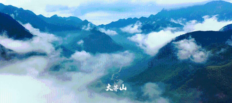孔雀逃生